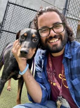 Aurora -  Mixed Breed Dog for Adoption in Wichita, Kansas - Aurora | PetCurious