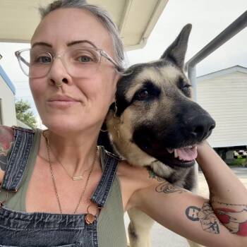 Sarge -  German Shepherd Dog Dog for Adoption in New Orleans, Louisiana - Sarge | PetCurious