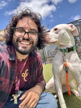 Little Mama -  Mixed Breed Dog for Adoption in Wichita, Kansas - Little Mama | PetCurious