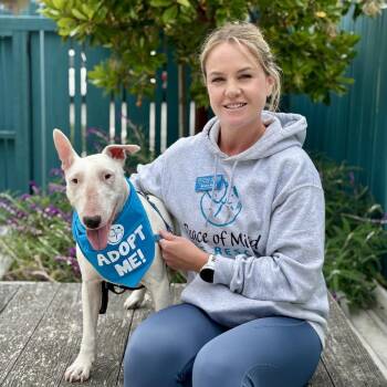 Potato -  Mixed Breed Dog for Adoption in Pacific Grove, California - Potato | PetCurious