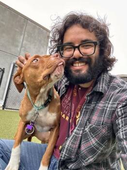 Winkle -  Mixed Breed Dog Available for Adoption in Wichita, Kansas - Winkle | PetCurious