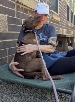 Mixed Breed Dogs Available for Adoption in Chamblee, Georgia - Serenity | PetCurious
