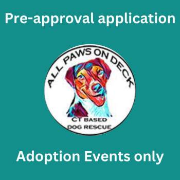 Rescue Labrador Retriever and Mixed Breed Dogs for Adoption in Griswold, Connecticut - ADOPTION EVENT: PRE-APPROVE ME | PetCurious