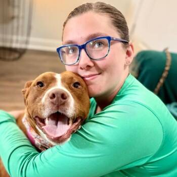 Paisley Love brings connection and affection -  Pit Bull Terrier and American Staffordshire Terrier Dog for Adoption in Friendswood, Texas - Paisley Love Brings Connection And Affection | PetCurious