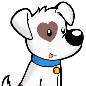 Mixed Breed Dogs Available for Adoption - Tortilla | PetCurious