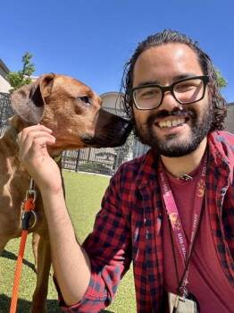 Mixed Breed Dogs Available for Adoption in Wichita, Kansas - Jake | PetCurious