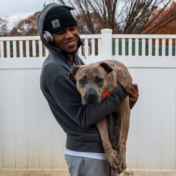 Rescue Mixed Breed Dogs for Adoption in Chamblee, Georgia - Thalassa - IN FOSTER | PetCurious