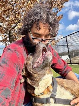 Mixed Breed Dogs Available for Adoption in Wichita, Kansas - Squirrel Wrangler | PetCurious