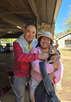 Gizmo -  Chihuahua Dog for Adoption in Columbia, Tennessee - Gizmo | PetCurious