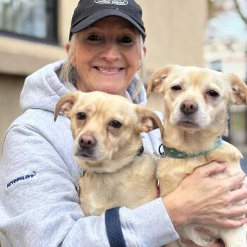 Rescue Beagle and Pug Dogs for Adoption in Buffalo, New York - Bully & Eugene | PetCurious