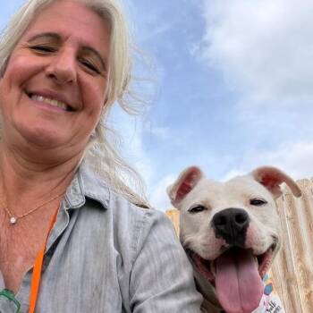 Pit Bull Terrier and American Staffordshire Terrier Dogs Available for Adoption in Friendswood, Texas - Puddles Gives The Best Kisses | PetCurious