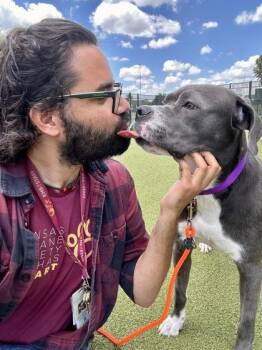 Stormi -  Mixed Breed Dog for Adoption in Wichita, Kansas - Stormi | PetCurious