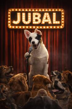 Australian Shepherd Dogs Available for Adoption - Jubal | PetCurious