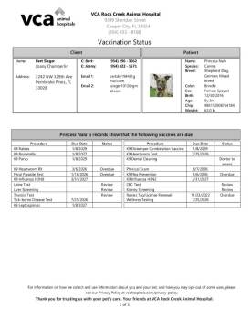 Dutch Shepherd and Mixed Breed Dogs Available for Adoption in St. Augustine, Florida - Princess Nal | PetCurious