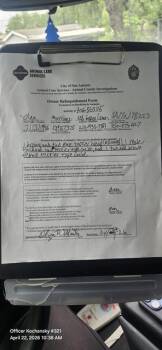 Terrier Dogs Available for Adoption in San Antonio, Texas - LILO | PetCurious