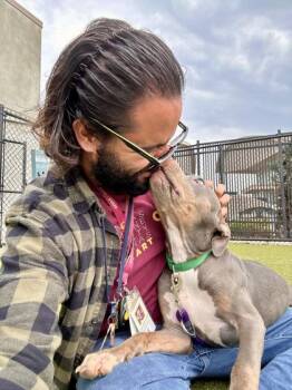 Donald -  Mixed Breed Dog for Adoption in Wichita, Kansas - Donald | PetCurious