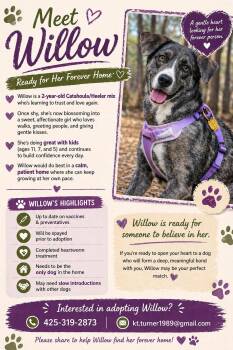 Catahoula Leopard Dog Dogs Available for Adoption in Jefferson, Texas - Willow | PetCurious