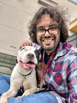 Cano -  Mixed Breed Dog for Adoption in Wichita, Kansas - Cano | PetCurious
