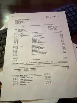 Mixed Breed Dogs Available for Adoption in Columbia, Tennessee - Zeus | PetCurious