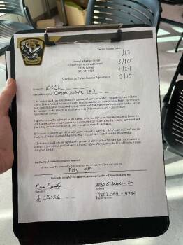 Mixed Breed Dogs Available for Adoption - Bobo | PetCurious