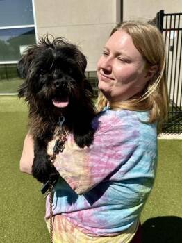 Mixed Breed Dogs Available for Adoption in Wichita, Kansas - Mutton | PetCurious