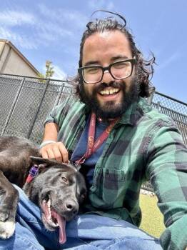 Enano -  Mixed Breed Dog for Adoption in Wichita, Kansas - Enano | PetCurious