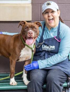 Alpha -  Mixed Breed Dog for Adoption in Chamblee, Georgia - Alpha | PetCurious