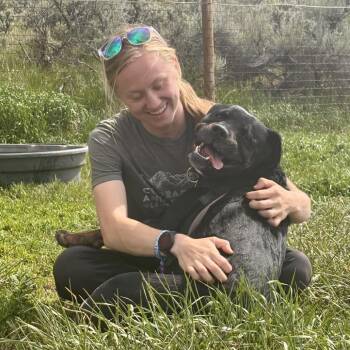 Pixie -  Black Labrador Retriever and Rottweiler Dog for Adoption in Glenwood Springs, Colorado - Pixie | PetCurious