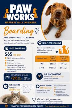 Flick -  Mixed Breed Dog for Adoption in Thousand Oaks, California - Flick | PetCurious