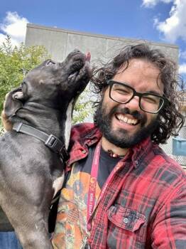 Paddington -  Mixed Breed Dog for Adoption in Wichita, Kansas - Paddington | PetCurious