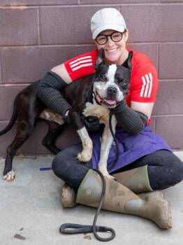 Burpie -  Mixed Breed Dog for Adoption in Chamblee, Georgia - Burpie | PetCurious