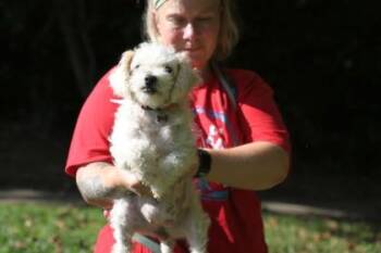 Missi -  Mixed Breed Dog for Adoption in West Chester, Pennsylvania - Missi | PetCurious