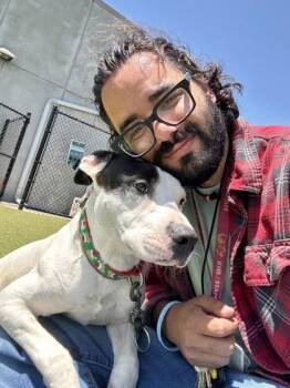 Cooper -  Mixed Breed Dog for Adoption in Wichita, Kansas - Cooper | PetCurious