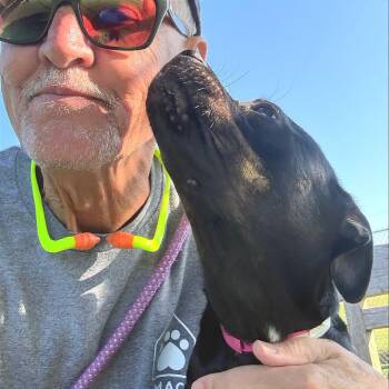Manilla -  Mixed Breed Dog for Adoption in Chattanooga, Tennessee - Manilla | PetCurious