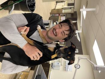 Ratty Roger -  Miniature Pinscher and Chihuahua Dog for Adoption in San Antonio, Texas - Ratty Roger | PetCurious