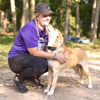 Teddy -  Mixed Breed Dog for Adoption in Walker, Michigan - Teddy | PetCurious
