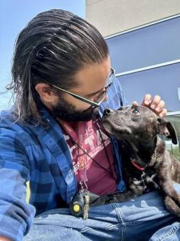 Treat Macha -  Mixed Breed Dog for Adoption in Wichita, Kansas - Treat Macha | PetCurious