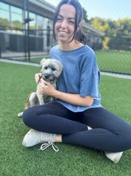 Rufus -  Schnauzer and Terrier Dog for Adoption in Dalton, Georgia - Rufus | PetCurious