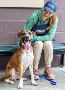 Bam Bam -  Mixed Breed Dog for Adoption in Chamblee, Georgia - Bam Bam | PetCurious