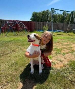 Dunkaroo -  Mixed Breed Dog for Adoption in Wayne, New Jersey - Dunkaroo | PetCurious