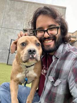 Mixed Breed Dogs Available for Adoption in Wichita, Kansas - Mo Man | PetCurious