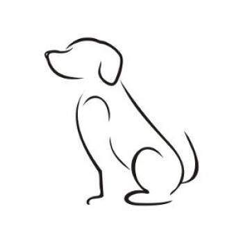 Beagle and Basset Hound Dogs Available for Adoption - Bagel | PetCurious