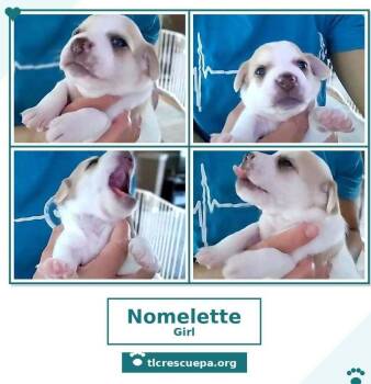 Nomelette (Betty