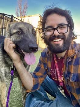 Mixed Breed Dogs Available for Adoption - Cornholio | PetCurious