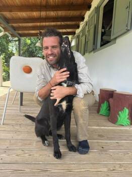 Labrador Retriever Dogs Available for Adoption - Graham | PetCurious