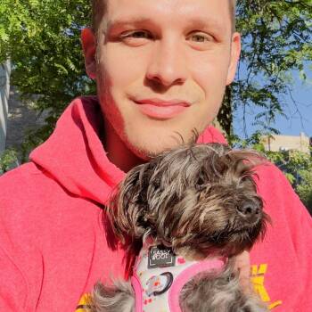Mixed Breed Dogs Available for Adoption in Chicago, Illinois - Pupcup | PetCurious