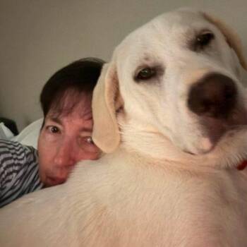 Pokey AKA Polly -  Hound and Great Pyrenees Dog for Adoption in Sanford, North Carolina - Pokey AKA Polly | PetCurious
