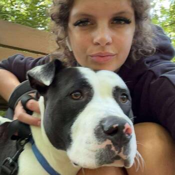 Mixed Breed Dogs Available for Adoption in Edwardsville, Illinois - Labubu | PetCurious