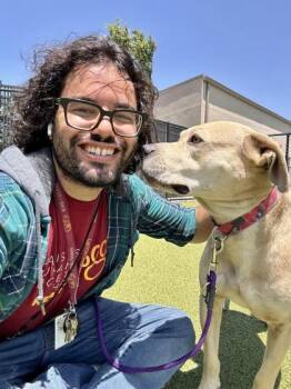 Rudolph Reisenweber -  Mixed Breed Dog for Adoption in Wichita, Kansas - Rudolph Reisenweber | PetCurious