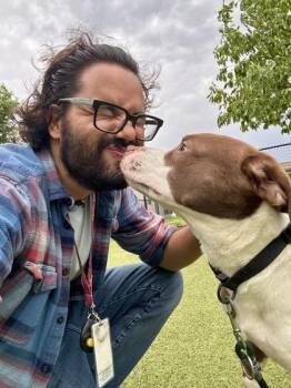 Mixed Breed Dogs Available for Adoption in Wichita, Kansas - Evie | PetCurious